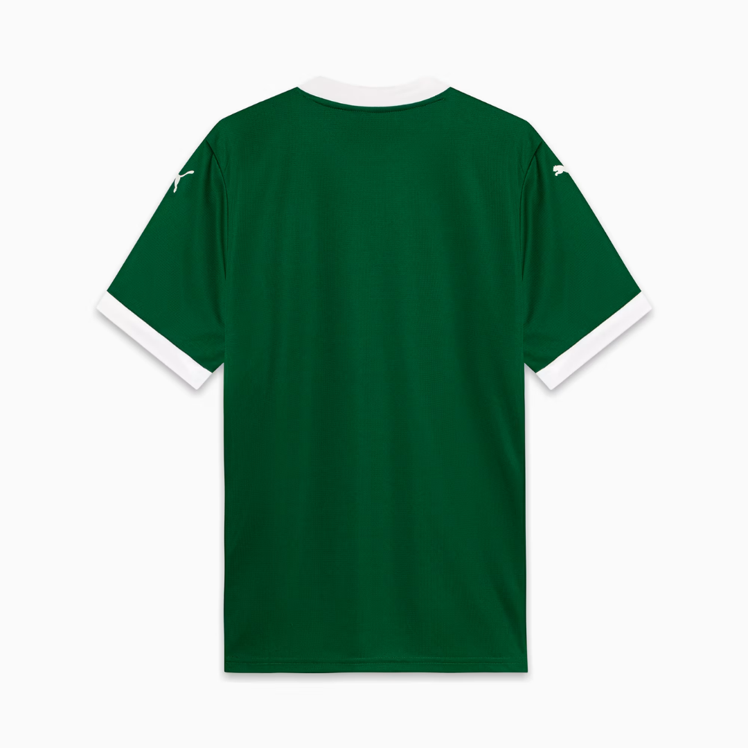 Camisa Palmeiras Home 2025 Masculina Torcedor – Verde