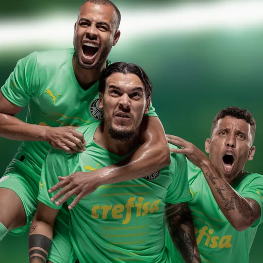 Camisa do Palmeiras Masculina Edição de Aniversário 108 Anos Torcedor Verde