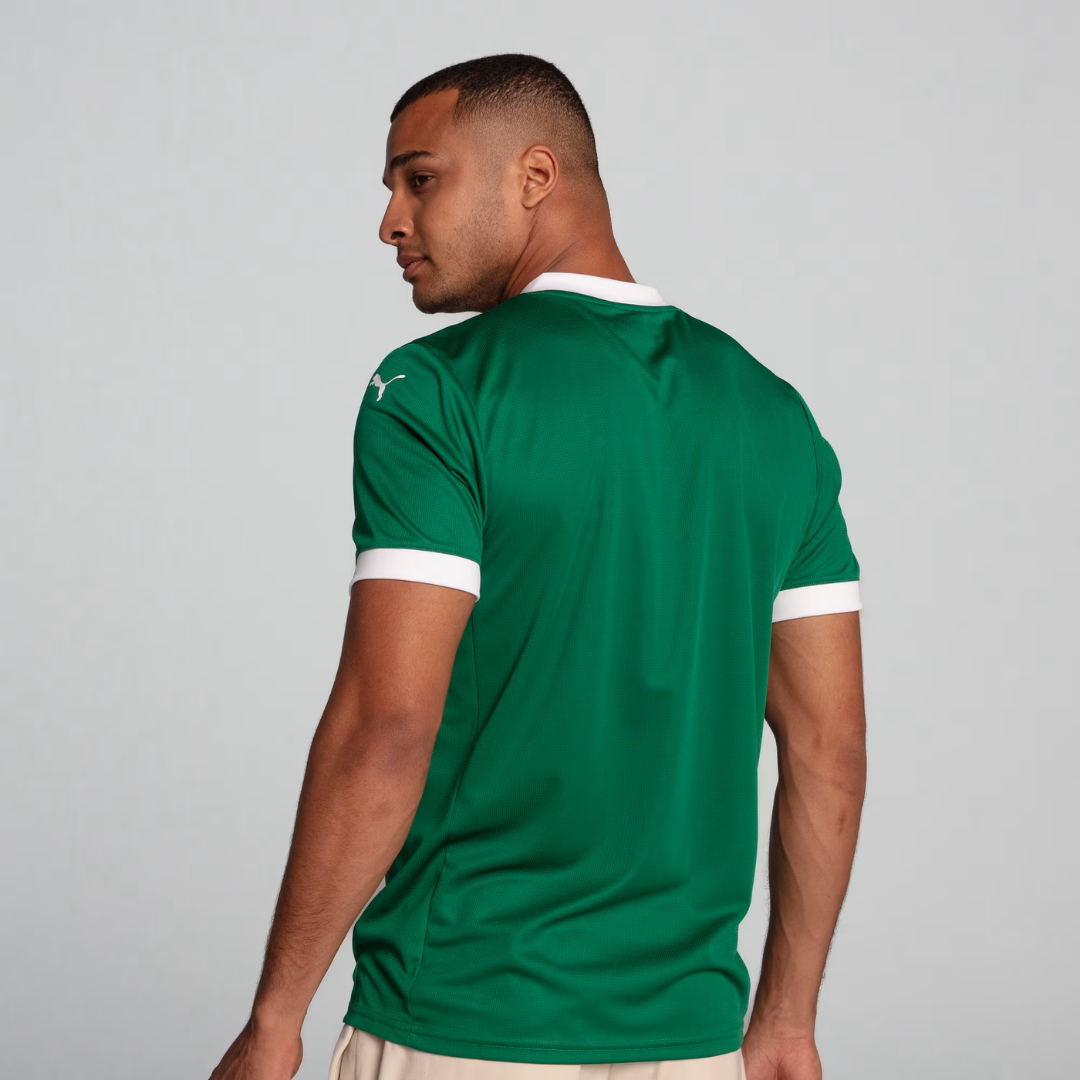 Camisa Palmeiras Home 2025 Masculina Torcedor – Verde