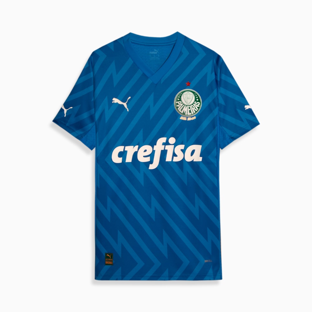 Camisa Palmeiras Goleiro Titular 24/25 – Puma Torcedor Masculina