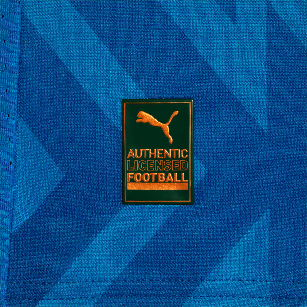Camisa Palmeiras Goleiro Titular 24/25 – Puma Torcedor Masculina