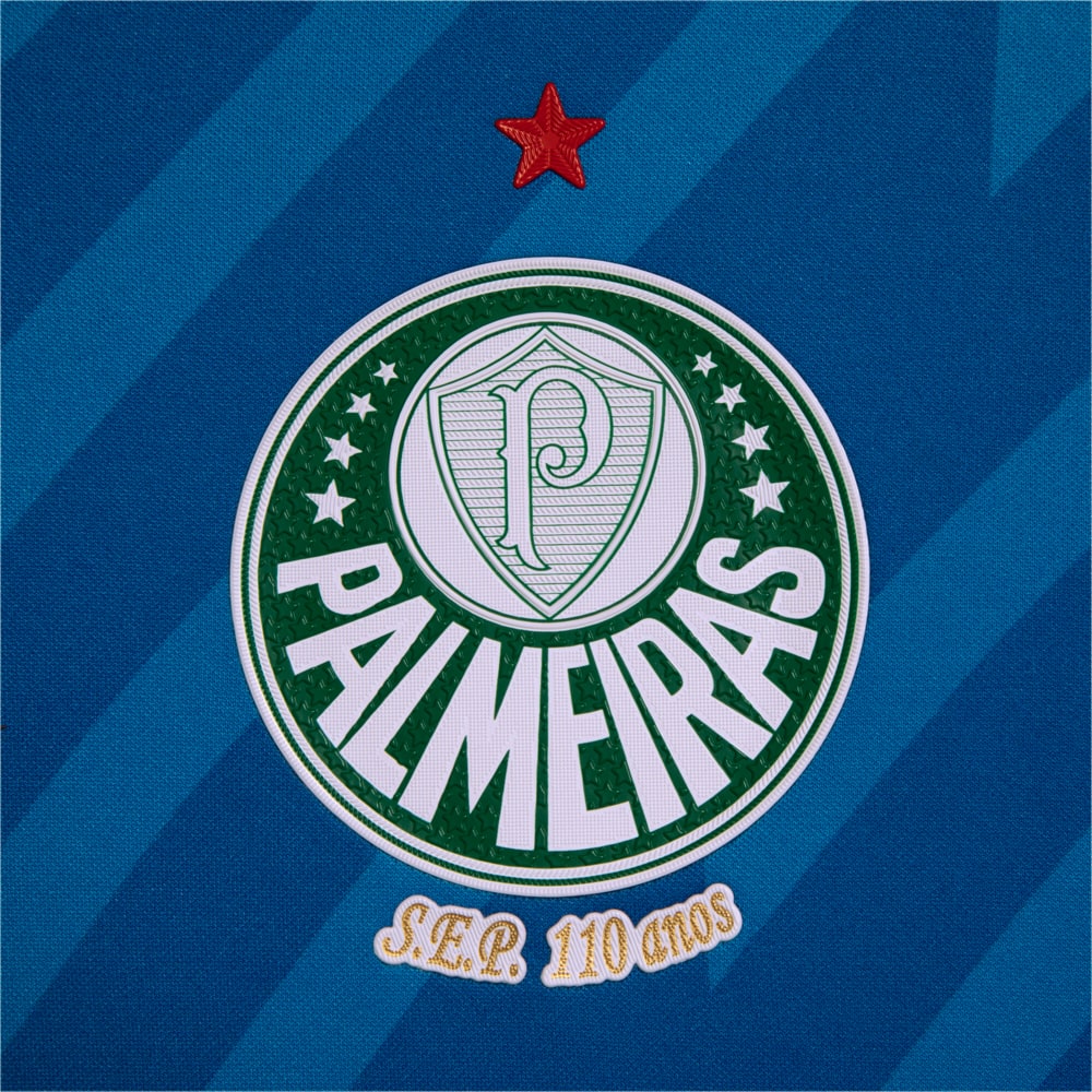 Camisa Palmeiras Goleiro Titular 24/25 – Puma Torcedor Masculina