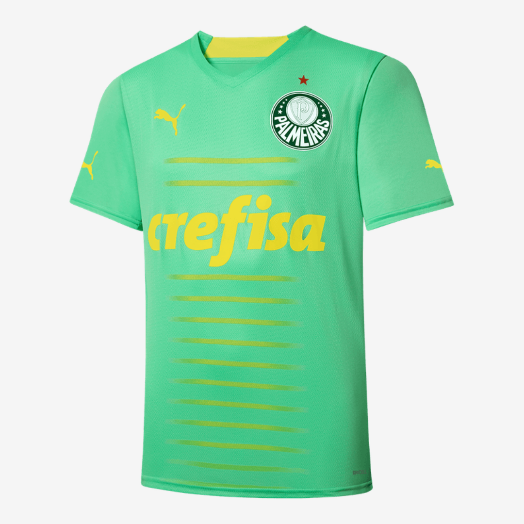 Camisa do Palmeiras Masculina Edição de Aniversário 108 Anos Torcedor Verde