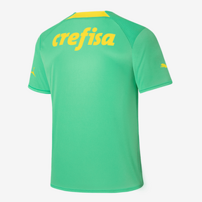 Camisa do Palmeiras Masculina Edição de Aniversário 108 Anos Torcedor Verde