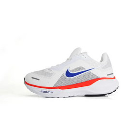 Tênis Nike Pegasus 41