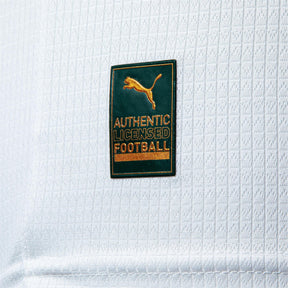 Camisa do Palmeiras Torcedor Away Puma Masculina