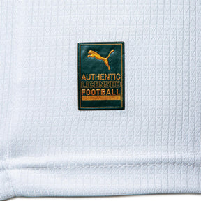 Camisa do Palmeiras Torcedor Away Puma Masculina